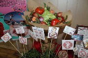 16_budmZd (12)