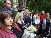 dpp (2)