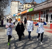 svDiagVZh (29)
