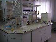 P1010549.jpg