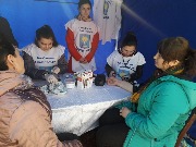 svDiagVZh (23)