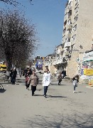 svDiagVZh (15)