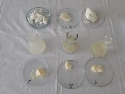 zdHarch-zdNac (9)