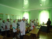 ns (11)