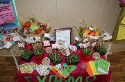 16_budmZd (14)
