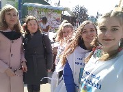 svDiagVZh (27)