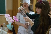 dvd05 (42)