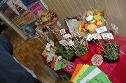 16_budmZd (5)