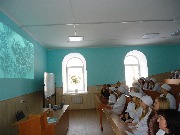 ns (8)