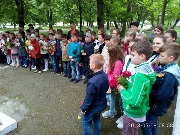 dpp (6)