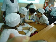 olimp_anat (22)