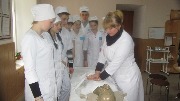 IMG_6225.jpg