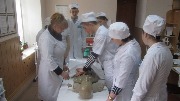 IMG_6237.jpg