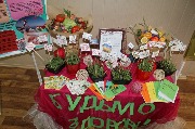 16_budmZd (16)