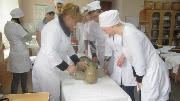 IMG_6241.jpg