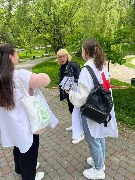 ZapZd (13)