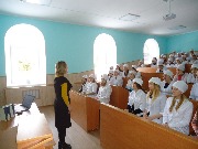 ns (4)