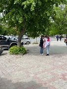 ZapZd (7)