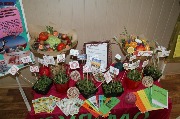 16_budmZd (13)
