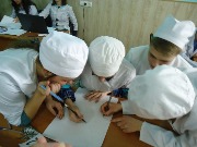 olimp_anat (20)