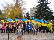 2351783.jpg