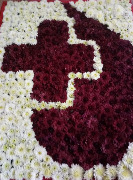 20161017006sich.jpg