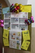 16_budmZd (19)