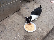 00005-19-IMG_5169.jpg
