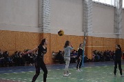 voleyobl (12)