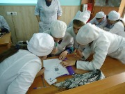 olimp_anat (17)