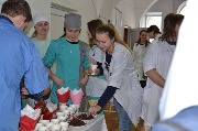 31-58-DSC_0125.jpg