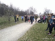 zabDDnZd (3)