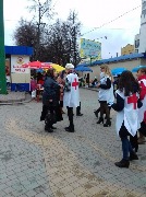 2355944.jpg