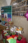 16_budmZd (1)
