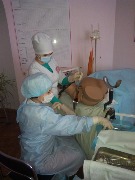 IMG_20150318_092409.jpg