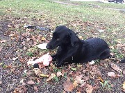 00010-25-IMG_5185.jpg