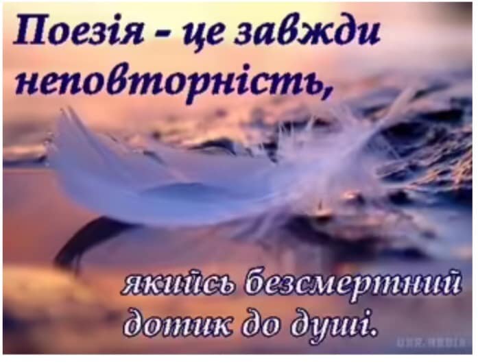 337354580_557745016426407_6018526452758885425_n.jpg