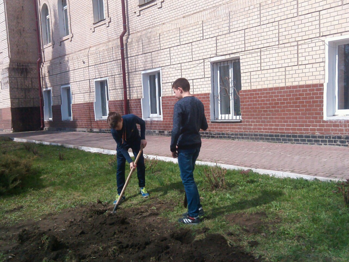 Акція з озеленення міста