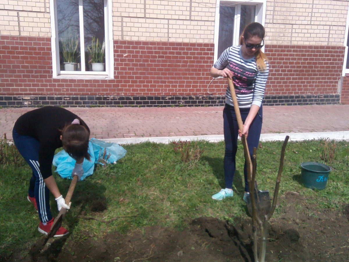 Акція з озеленення міста