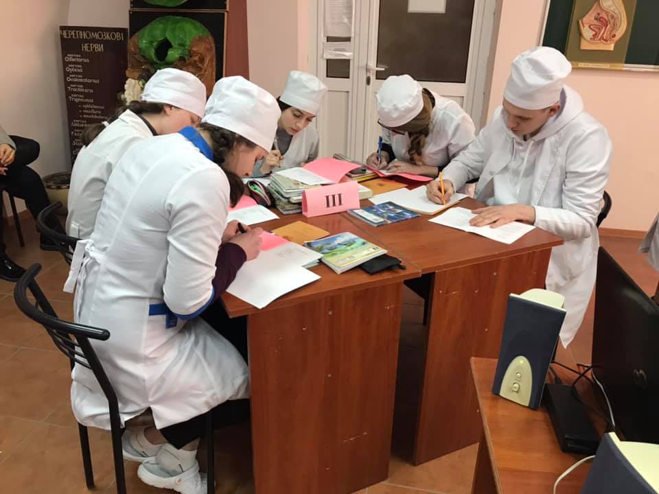 Тема: «Жіноча статева система»