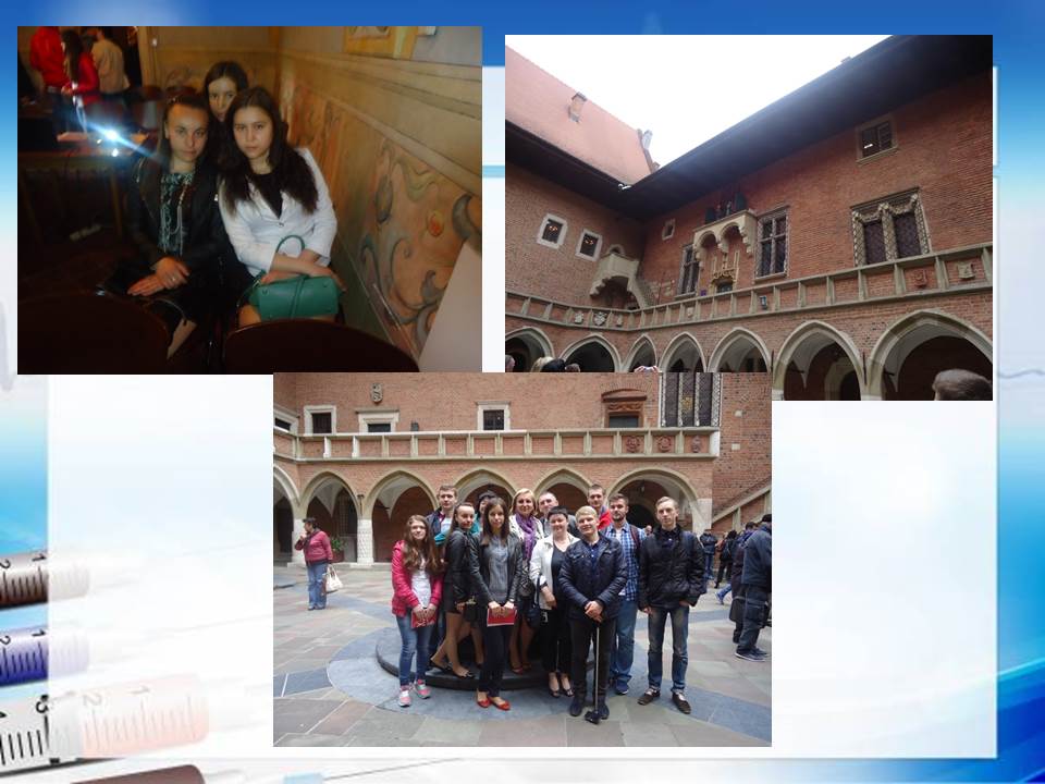 фундація «Європейський фахівець»