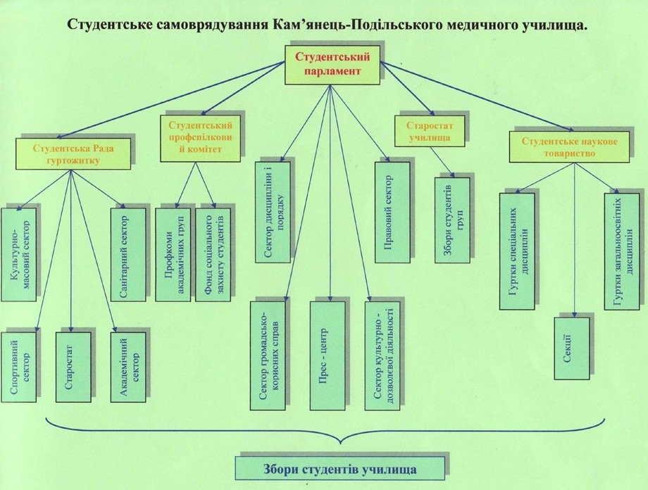 СХЕМА студентського самоврядування.jpg